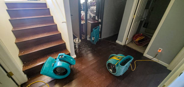 Best Flood damage cleanup  in Benton, AR