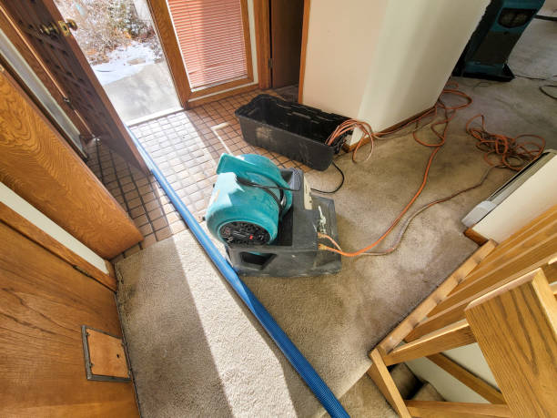 Best Water damage restoration mold remediation  in Benton, AR