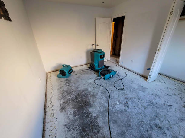 Best Flooded house restoration  in Benton, AR