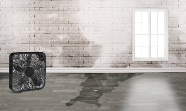 Best Water damage restoration near me  in Benton, AR