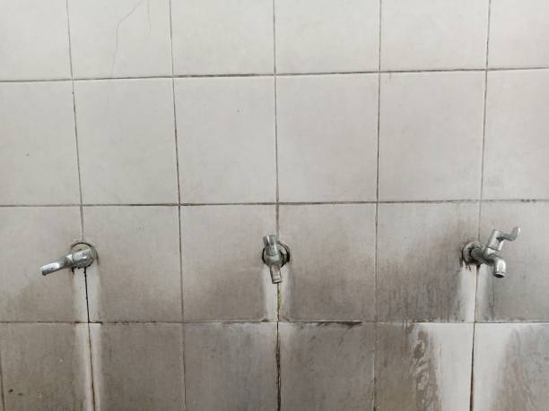 Best Professional water damage repair  in Benton, AR