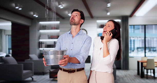 Best Ceiling water damage repair  in Benton, AR